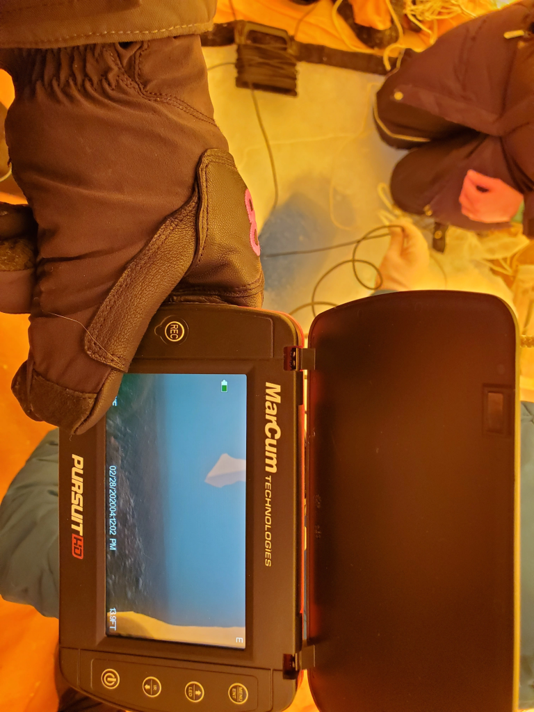 A hand holding a camera. In the viewfinder you can see the ocean floor.