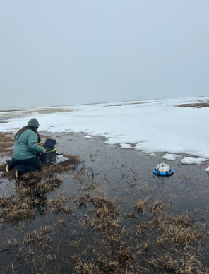 Holli collecting data in an Arctic stream
