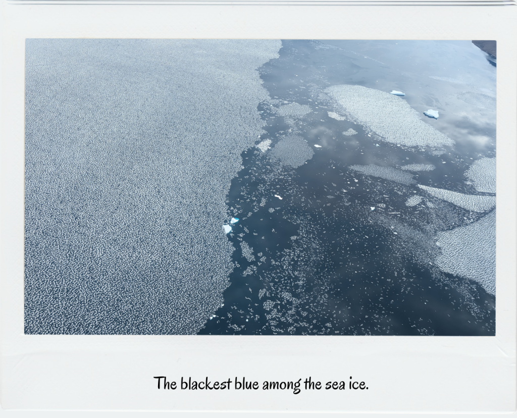 The blackest blue among the sea ice