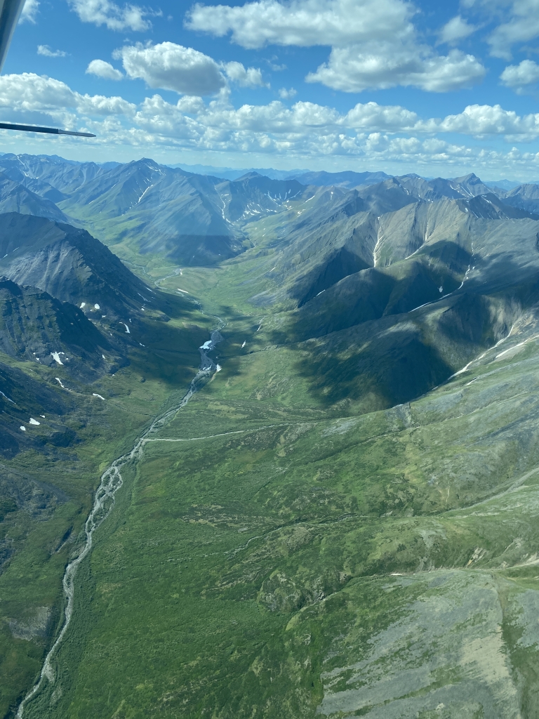 View of the Brooks Range from the air showing streams traveling through green hills