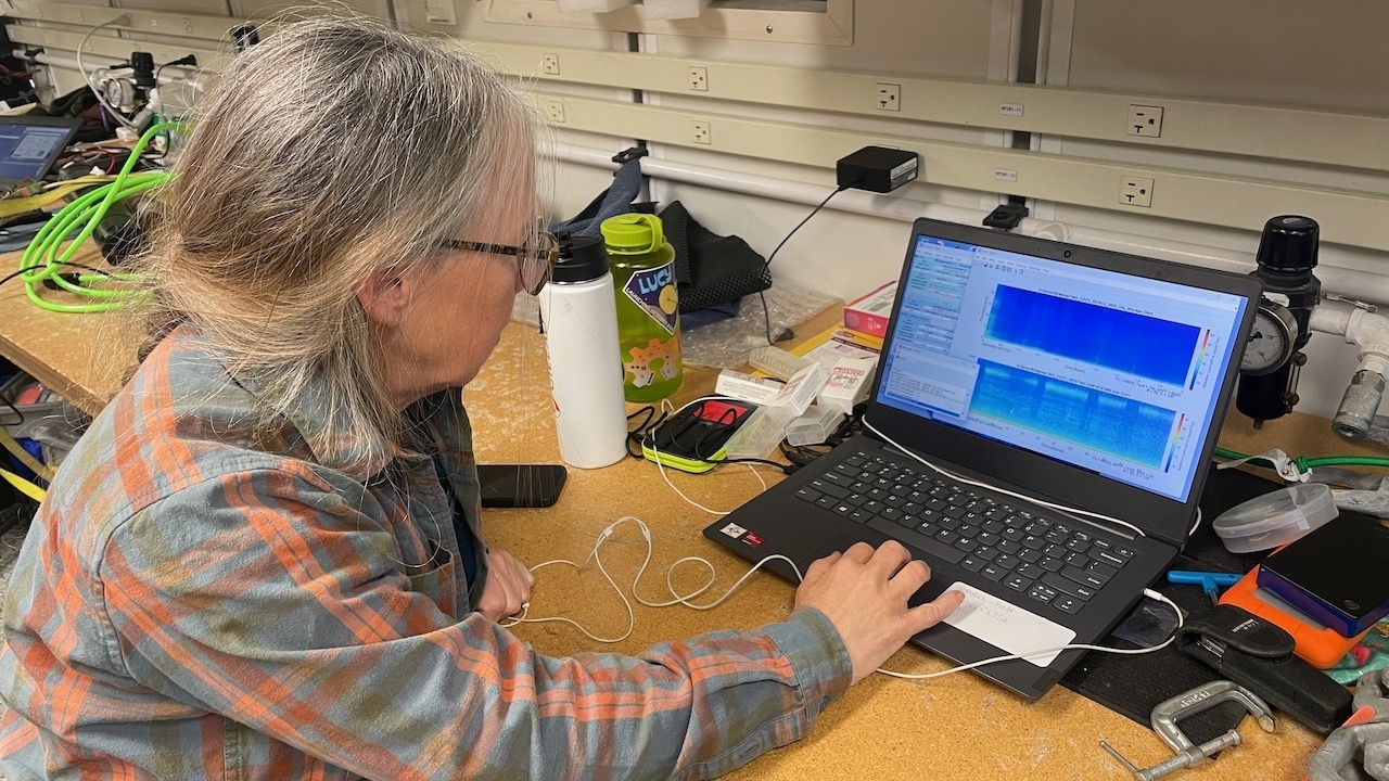 Kate looks at audio data on a laptop