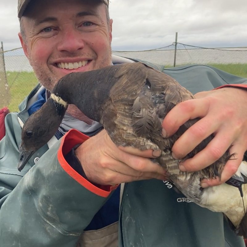 David poses with a duck