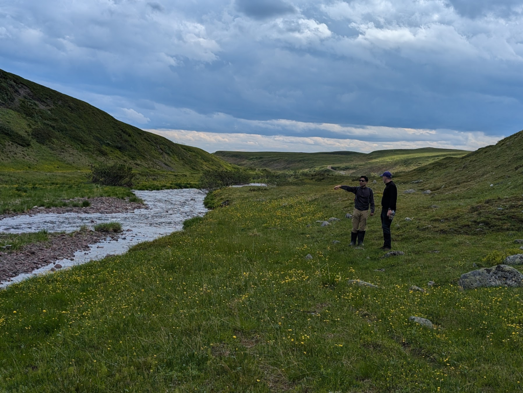 Two people stand in a field of grass. One of them points at a stream of water running nearby.