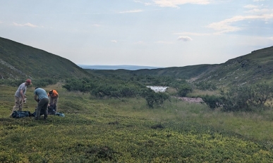 Arctic Tundra in Northern Norway