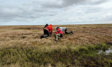 Four people sit on the ground looking at plants