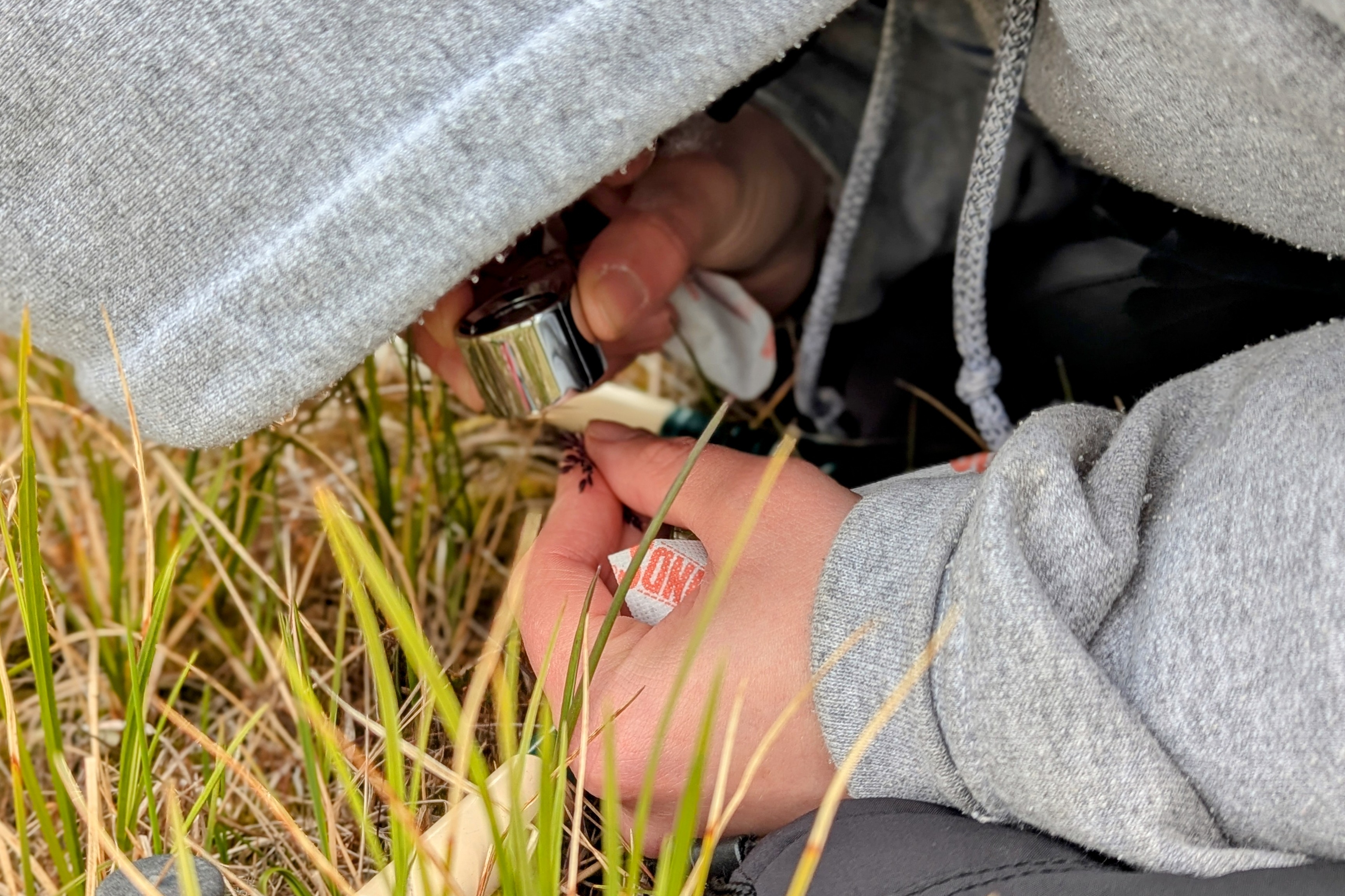 Close up of hands holding a microscope pointed at a flower