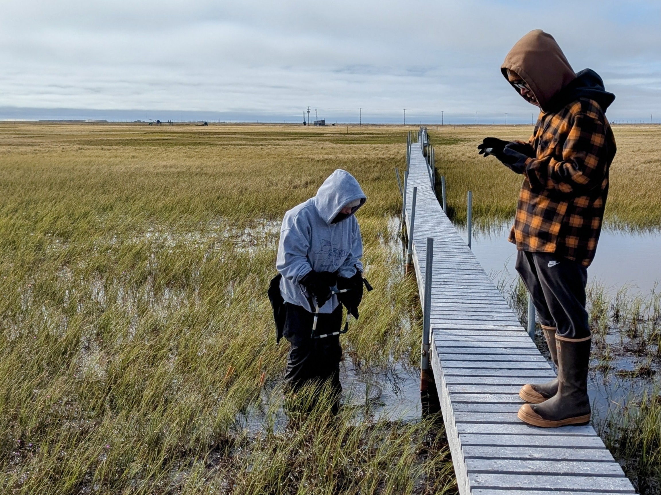 One person stands knee deep in water while another is standing on a walking bridge nearby. They are looking and taking measurements of plants.