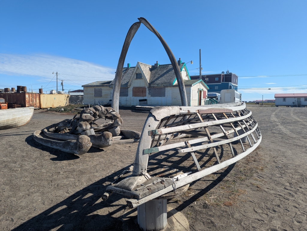 A driftwood sculpture in front of a building