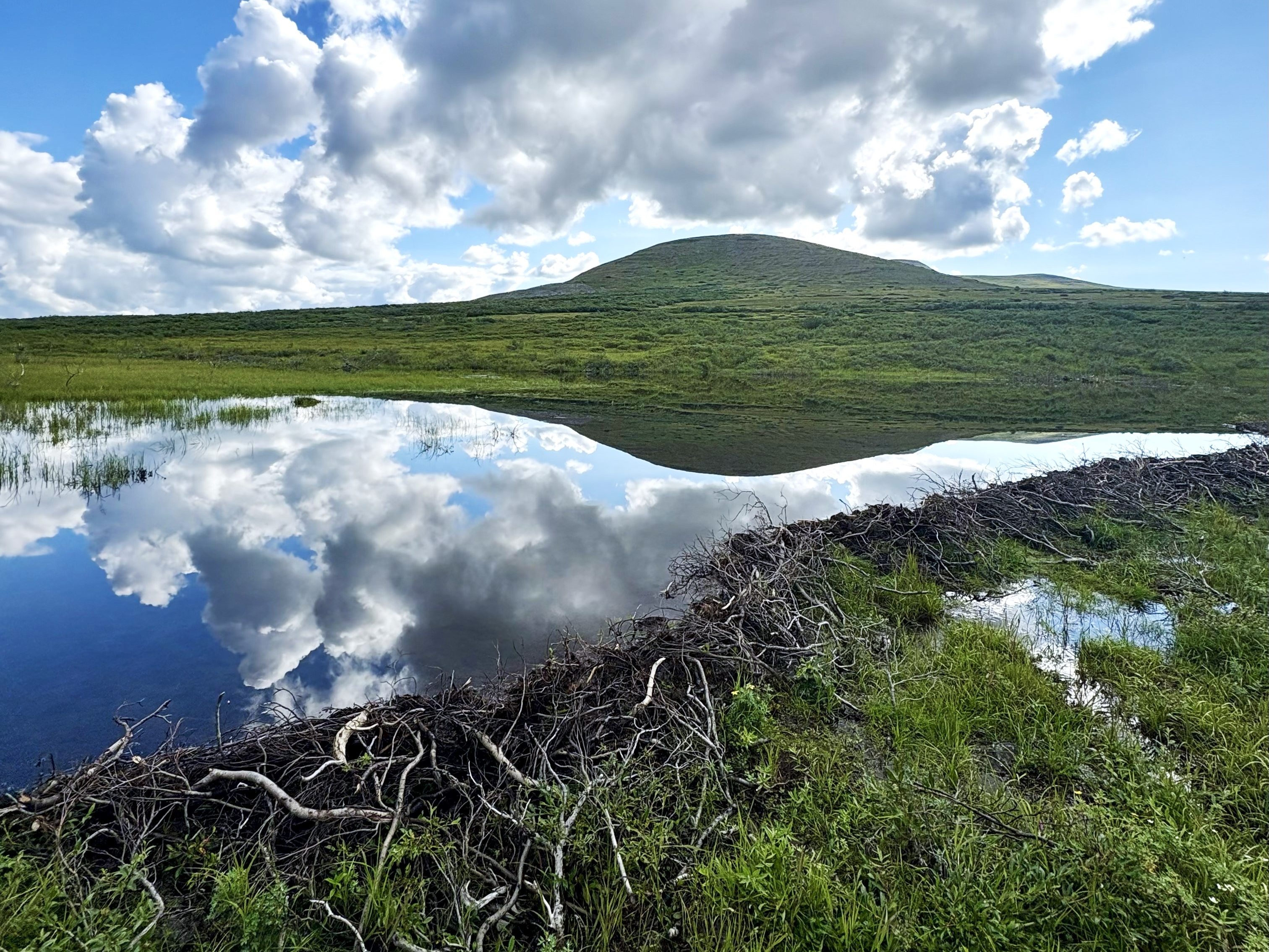 A vivid reflection of the sky in a stream