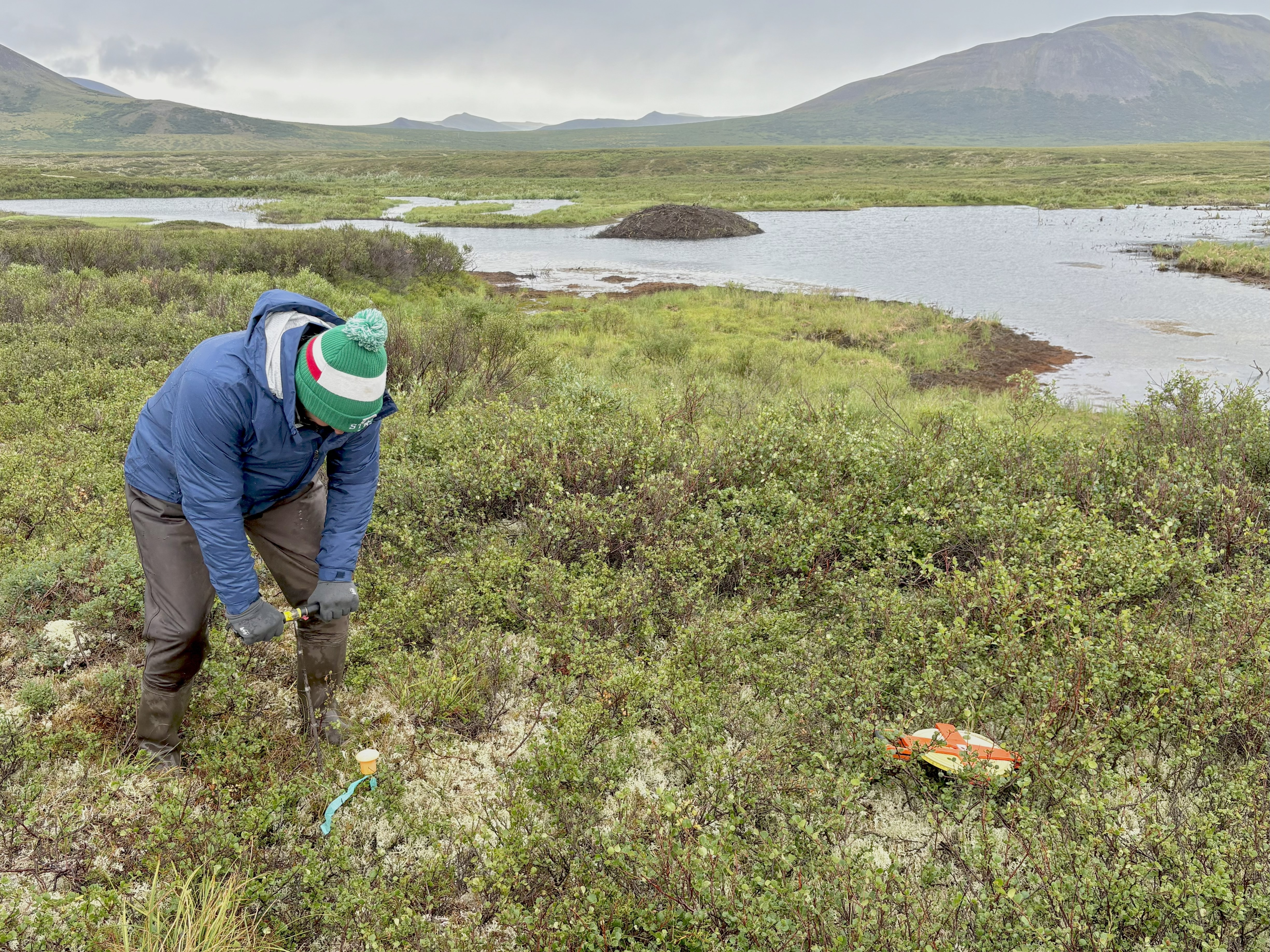 A person sticking some equipment into the ground