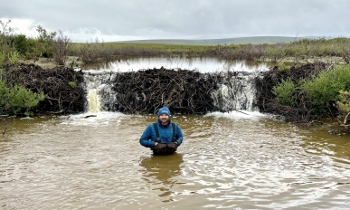 A man standing in water up to his waist, in the background is a beaver dam.