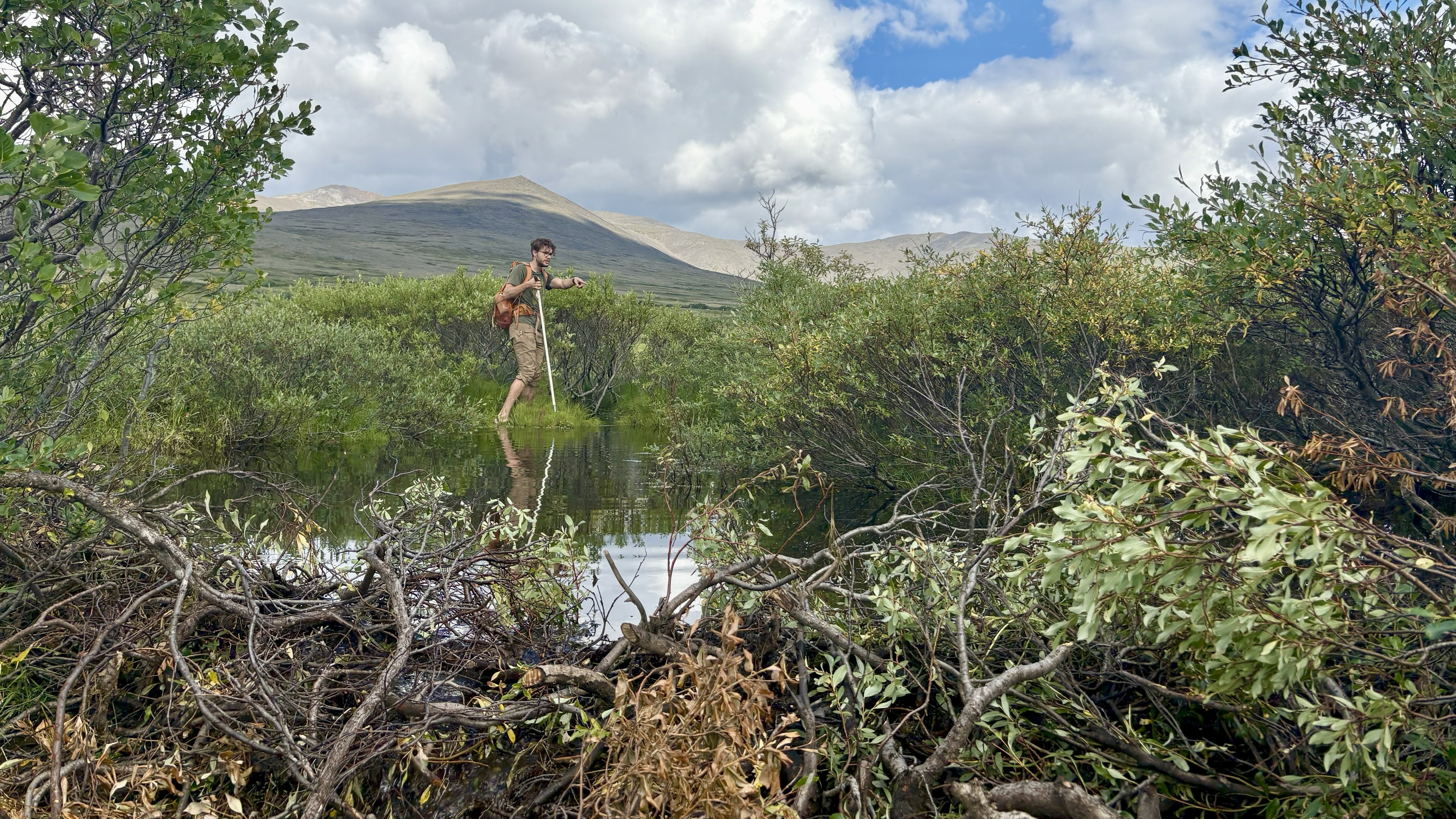 A person standing in a pond