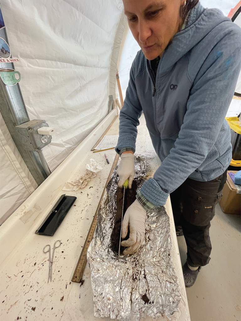 A person measuring a sample