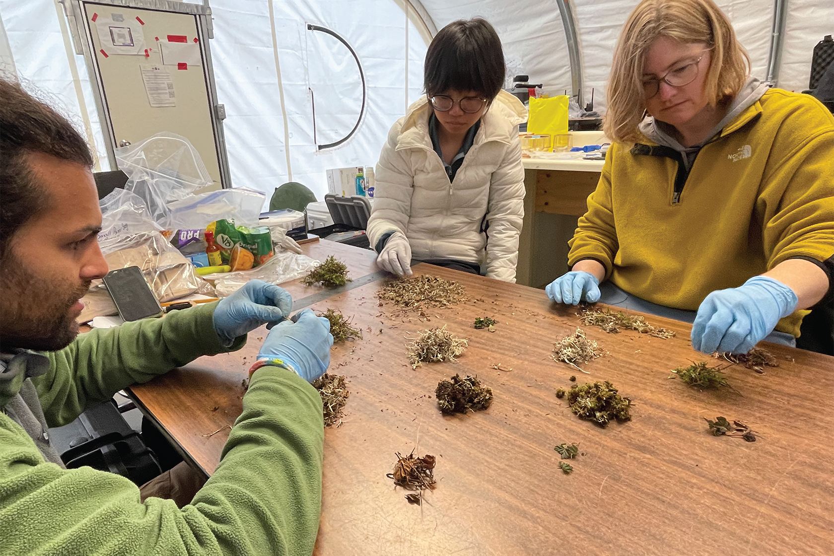 Three people sort samples