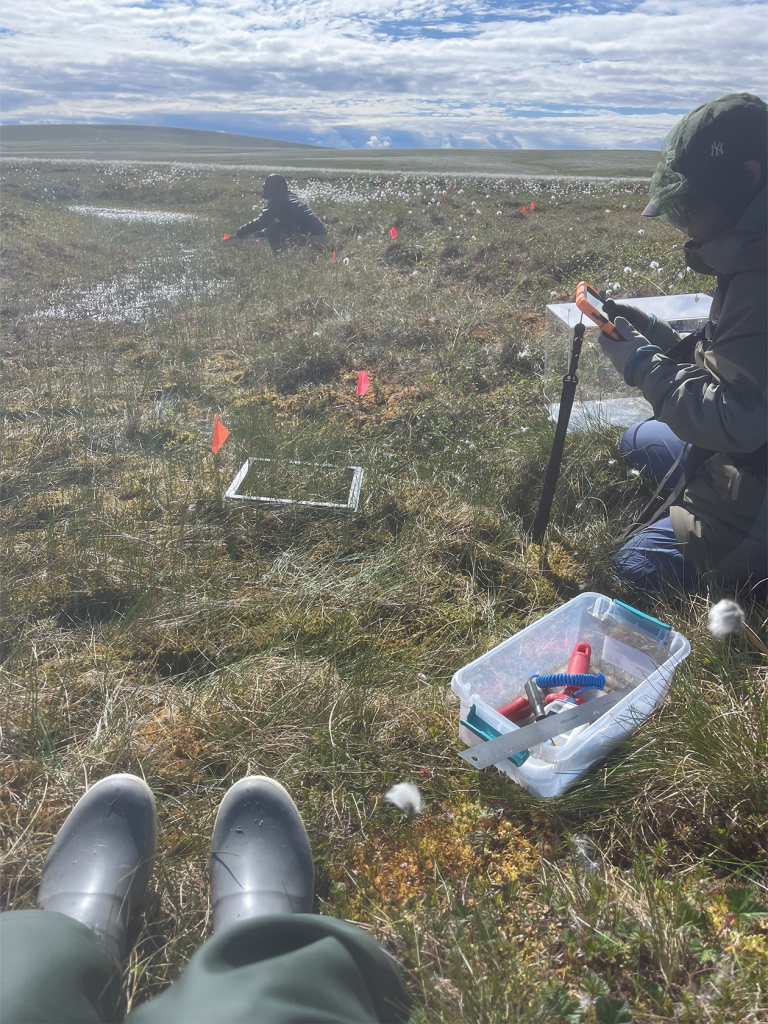 Two people in the field collecting data