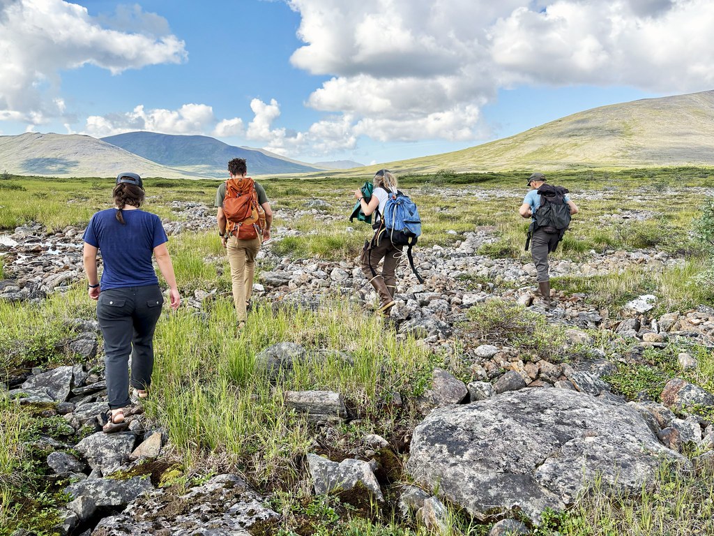 Four people walk across a rocky field