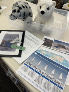 A stuffed seal and polar bear sit in a plastic tub next to worksheets and examples of seal tags