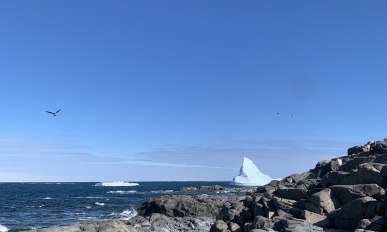 View of icebergs in the water with rocky coast in the foreground