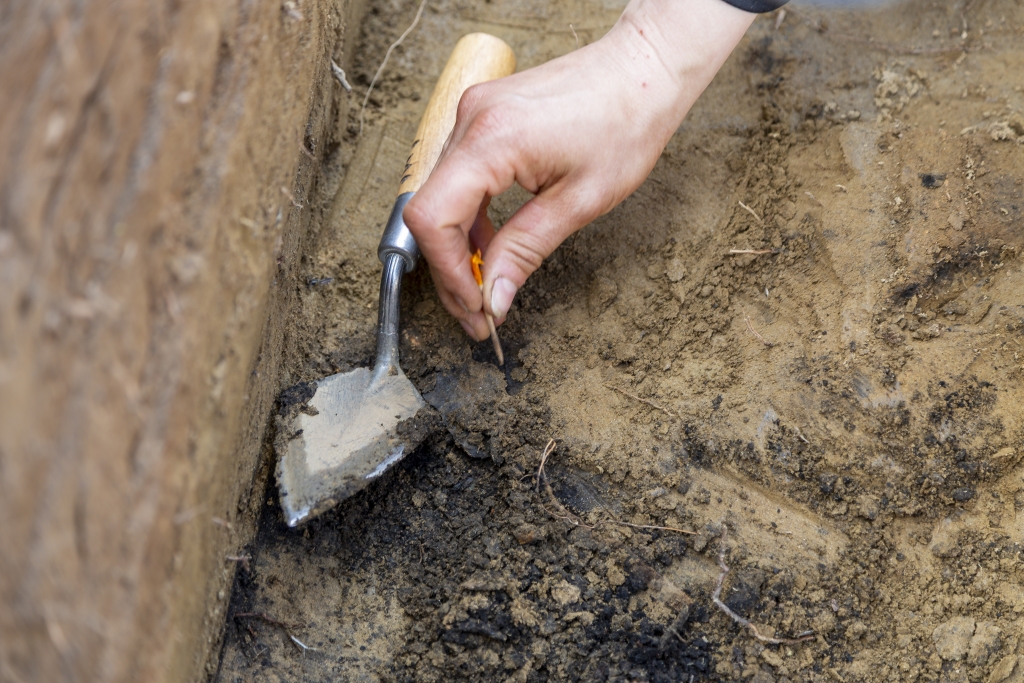 Close up of a hand holding a toothpick over dirt