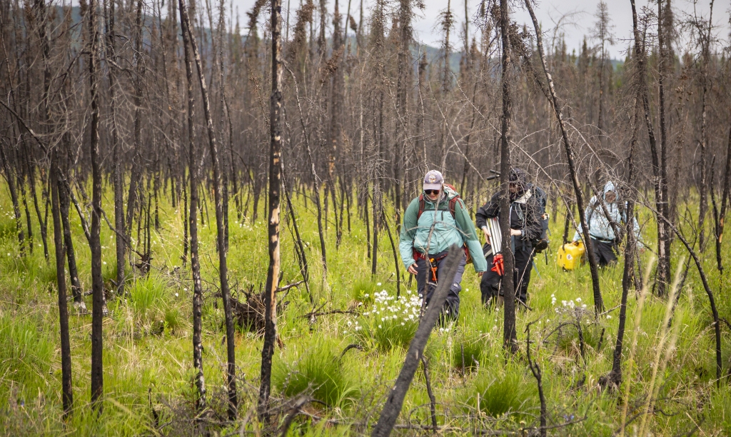 Three people hiking through tree filled landscape while carrying equipment