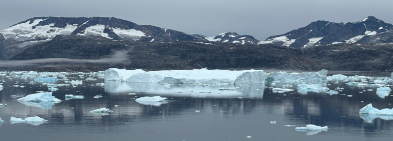 Floating icebergs and chunks of ice scattered across calm water with snow-capped mountains in the background