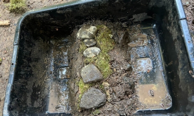A tray with soil, rocks, and other debris in it.