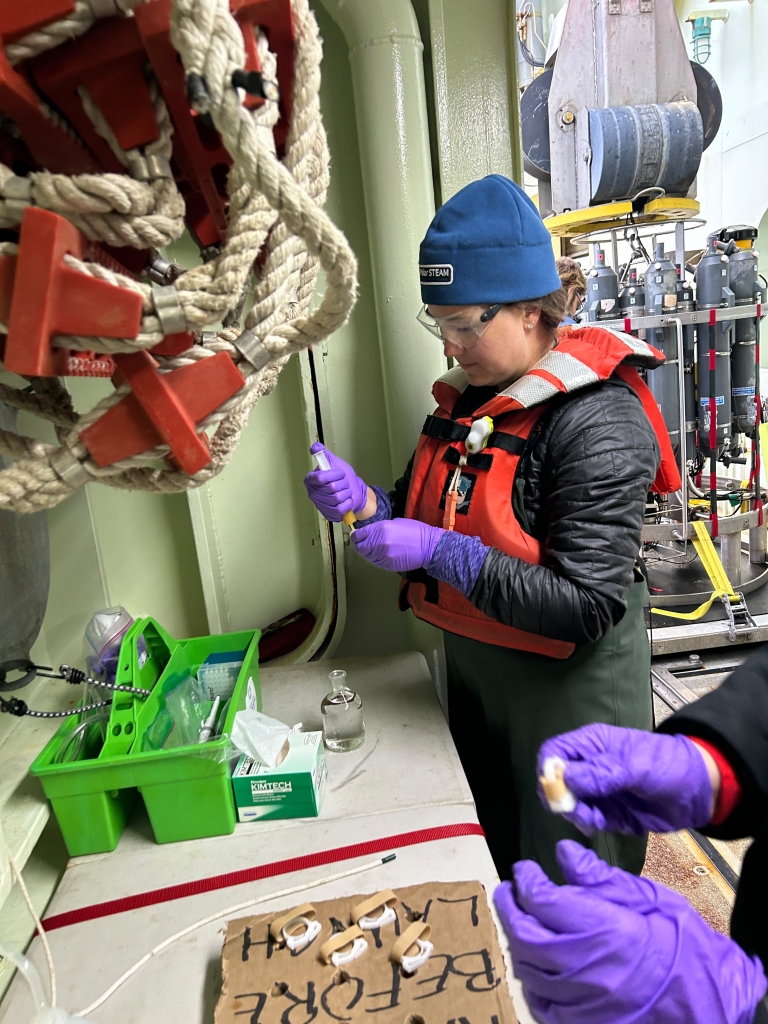 A person pipetting liquid in to a container