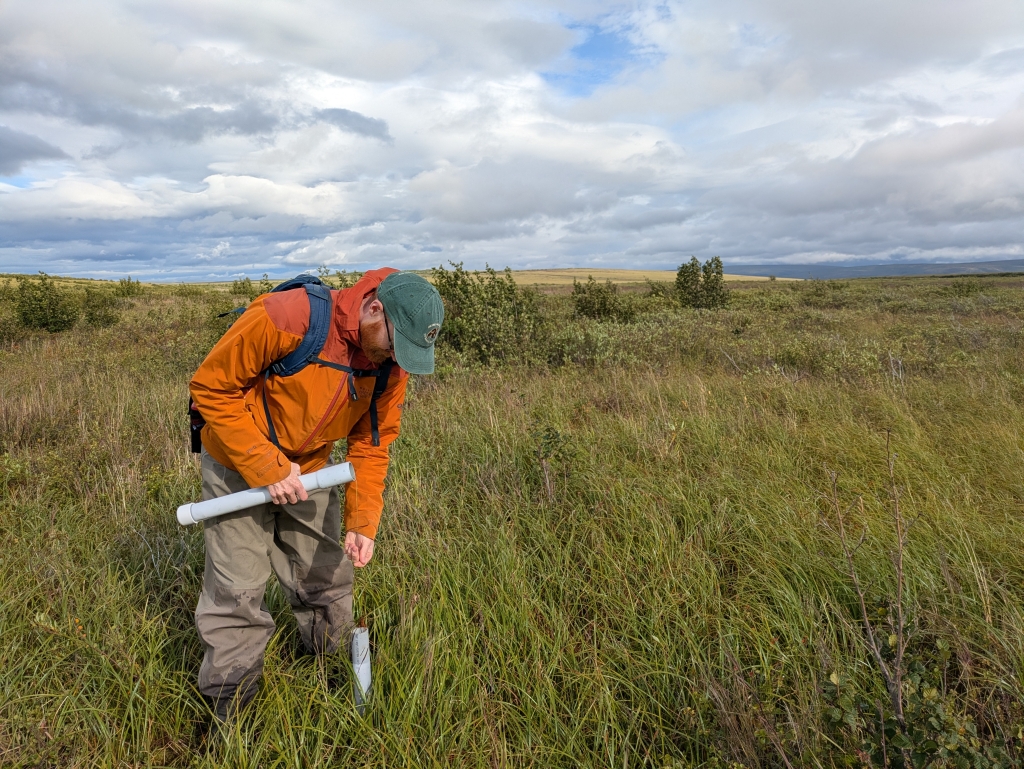 Tom Glass pulls out a PVC pipe and chain, surrounded by Tundra grasses