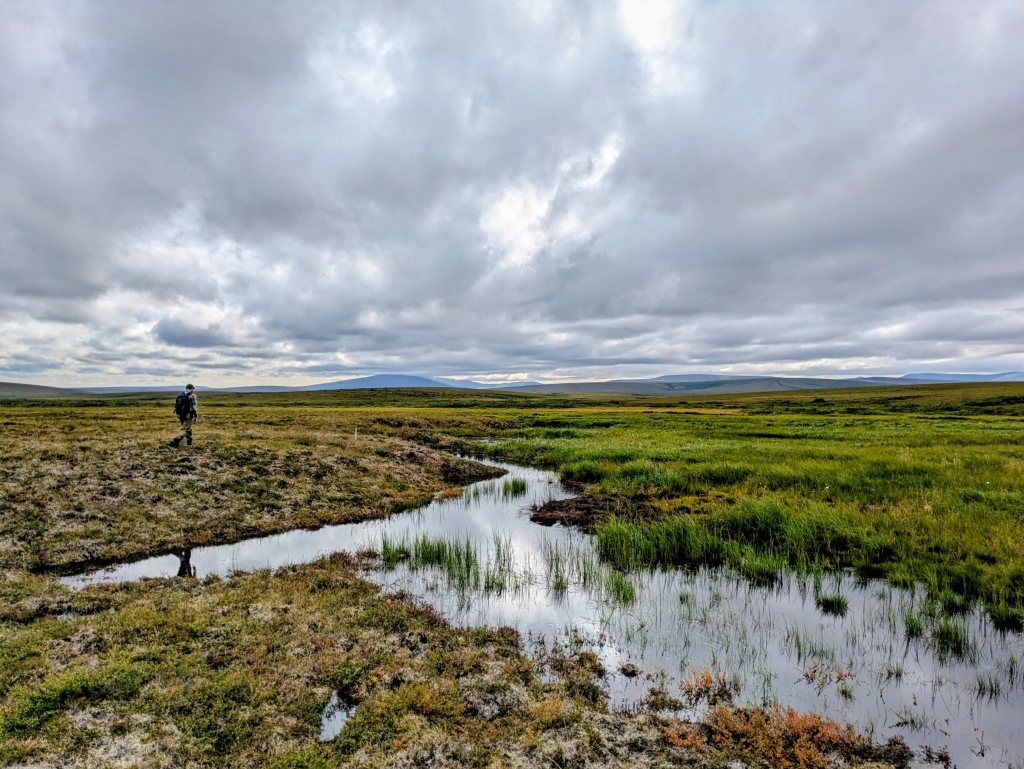 A man walking near a small stream and a grassy landscape