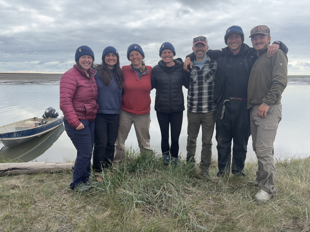 The Tut Team: Abby, Liv, Grace, Mairin, Me, James, Matt