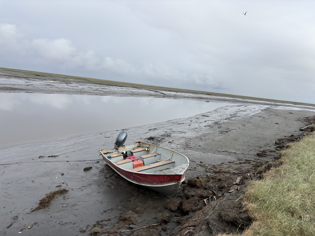 The boat we rode in to camp anchored on the cutbank.